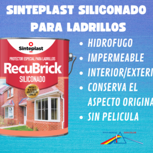 COMBO LADRILLOS      S/PELICULA SINTEPLAST x4