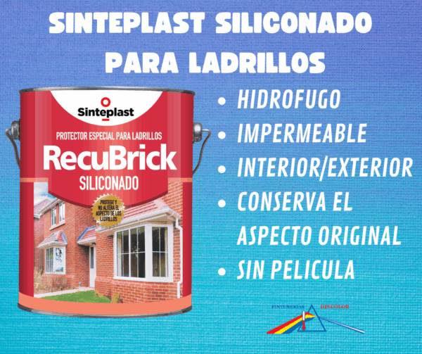 KOMBO LADRILLOS      S/PELICULA SINTEPLAST x4
